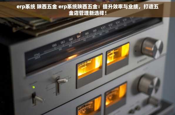 erp系统 陕西五金 erp系统陕西五金：提升效率与业绩，打造五金店管理新选择！