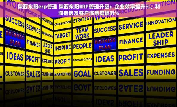 陕西东阳erp管理 陕西东阳ERP管理升级：企业效率提升%、利润翻倍及客户满意度提升%