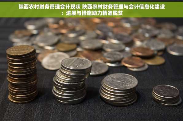 陕西农村财务管理会计现状 陕西农村财务管理与会计信息化建设：进展与措施助力精准脱贫