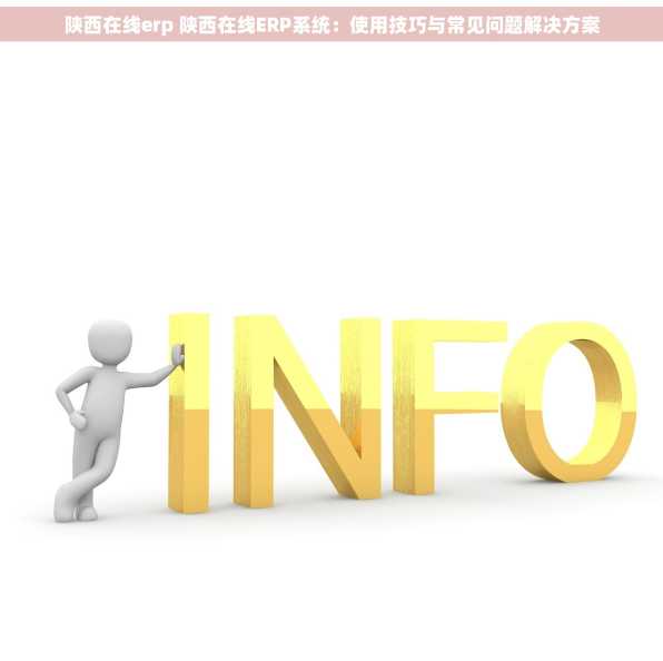 陕西在线erp 陕西在线ERP系统：使用技巧与常见问题解决方案