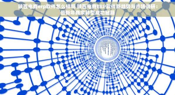 陕西电商erp软件怎么样啊 陕西电商ERP软件新趋势与市场调研：最新年商家转型成功秘籍