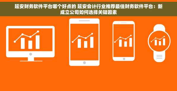 延安财务软件平台哪个好点的 延安会计行业推荐最佳财务软件平台：新成立公司如何选择关键因素