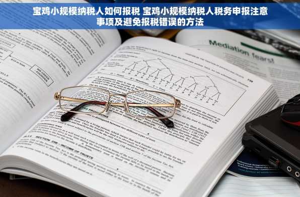 宝鸡小规模纳税人如何报税 宝鸡小规模纳税人税务申报注意事项及避免报税错误的方法