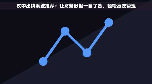 汉中出纳系统推荐：让财务数据一目了然，轻松高效管理