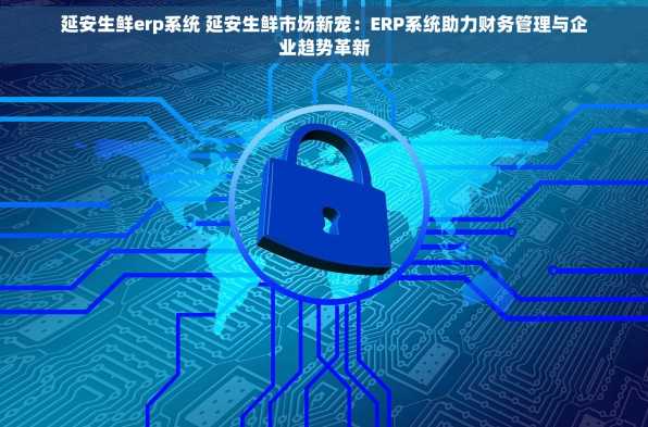 延安生鲜erp系统 延安生鲜市场新宠：ERP系统助力财务管理与企业趋势革新