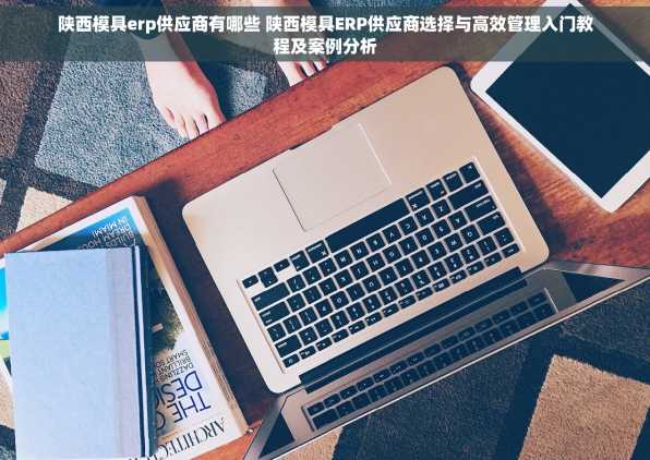 陕西模具erp供应商有哪些 陕西模具ERP供应商选择与高效管理入门教程及案例分析