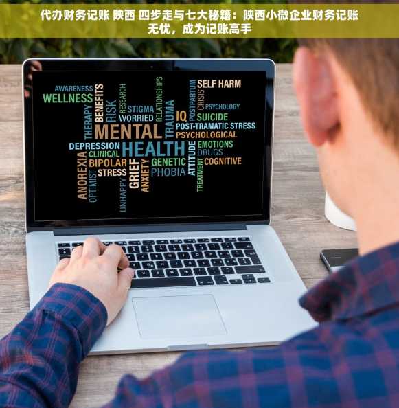 代办财务记账 陕西 四步走与七大秘籍：陕西小微企业财务记账无忧，成为记账高手
