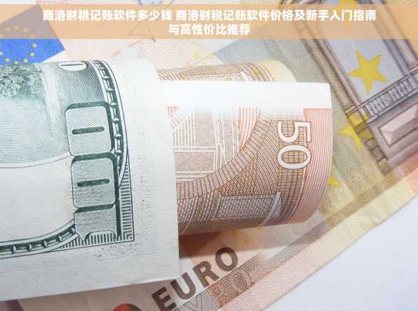 商洛财税记账软件多少钱 商洛财税记账软件价格及新手入门指南与高性价比推荐