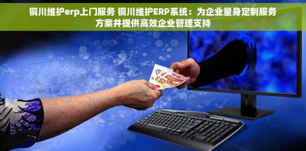 铜川维护erp上门服务 铜川维护ERP系统：为企业量身定制服务方案并提供高效企业管理支持