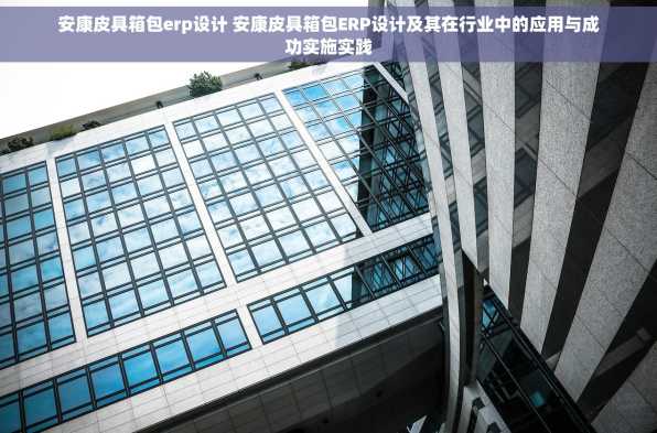 安康皮具箱包erp设计 安康皮具箱包ERP设计及其在行业中的应用与成功实施实践