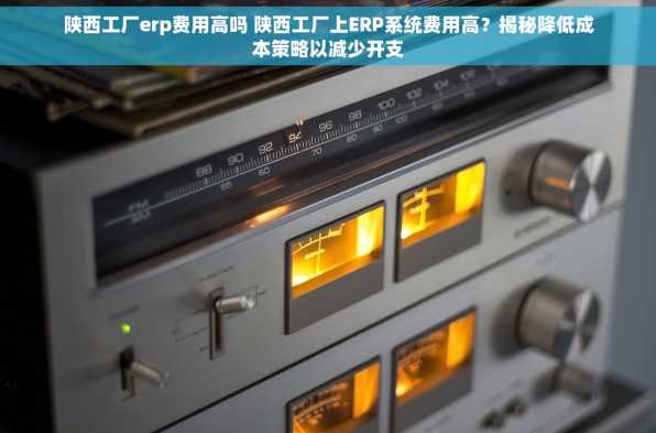 陕西工厂erp费用高吗 陕西工厂上ERP系统费用高？揭秘降低成本策略以减少开支