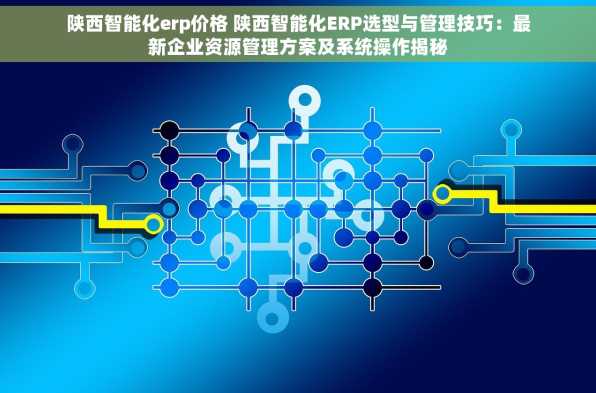 陕西智能化erp价格 陕西智能化ERP选型与管理技巧：最新企业资源管理方案及系统操作揭秘
