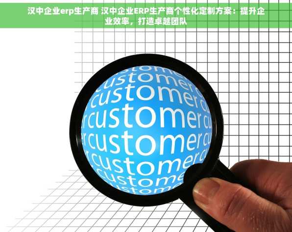 汉中企业erp生产商 汉中企业ERP生产商个性化定制方案：提升企业效率，打造卓越团队