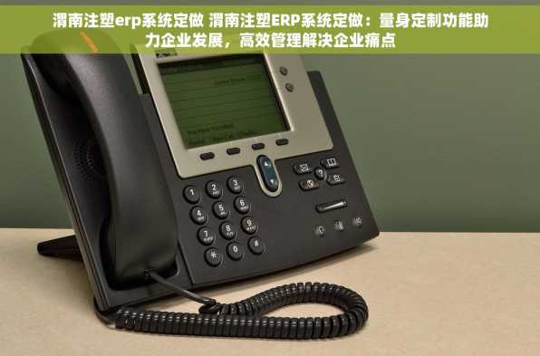 渭南注塑erp系统定做 渭南注塑ERP系统定做：量身定制功能助力企业发展，高效管理解决企业痛点