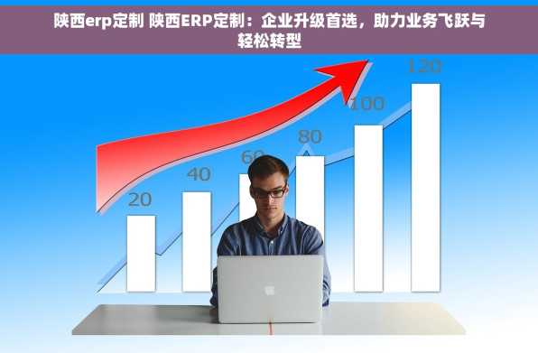 陕西erp定制 陕西ERP定制：企业升级首选，助力业务飞跃与轻松转型