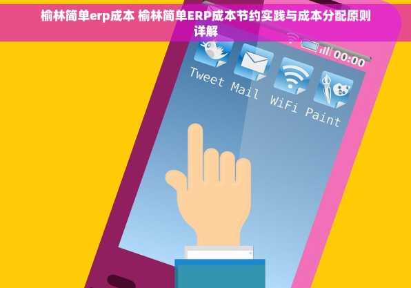 榆林简单erp成本 榆林简单ERP成本节约实践与成本分配原则详解