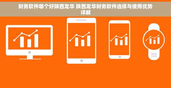 财务软件哪个好陕西龙华 陕西龙华财务软件选择与使用优势详解