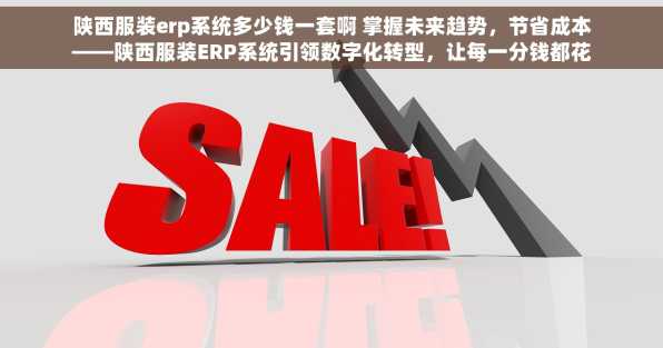 陕西服装erp系统多少钱一套啊 掌握未来趋势，节省成本——陕西服装ERP系统引领数字化转型，让每一分钱都花在刀刃上