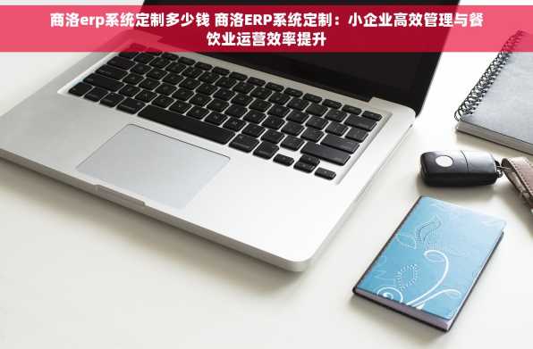 商洛erp系统定制多少钱 商洛ERP系统定制：小企业高效管理与餐饮业运营效率提升