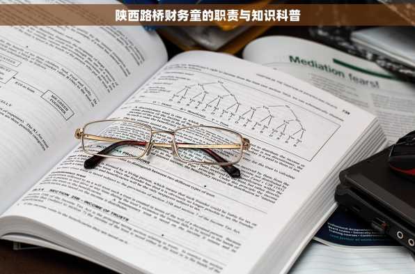 陕西路桥财务童的职责与知识科普