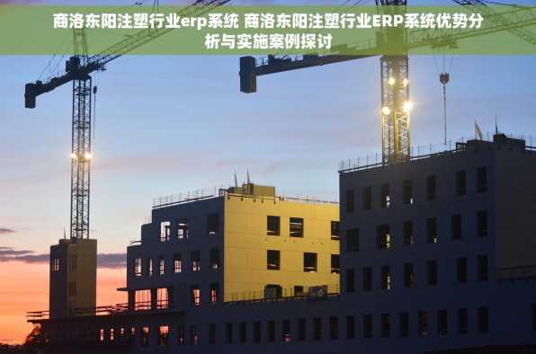 商洛东阳注塑行业erp系统 商洛东阳注塑行业ERP系统优势分析与实施案例探讨