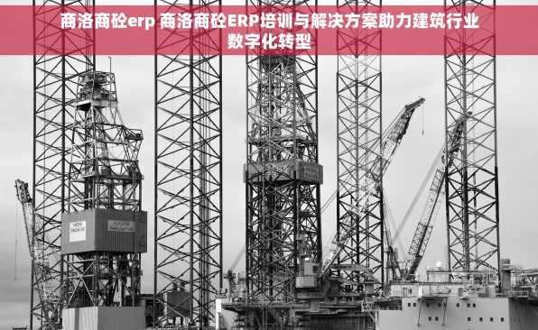 商洛商砼erp 商洛商砼ERP培训与解决方案助力建筑行业数字化转型