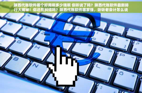 陕西代账软件哪个好用啊多少钱啊 你听说了吗？陕西代账软件最新排行大揭秘！你还在纠结吗？陕西代账软件哪家强，听听老会计怎么说