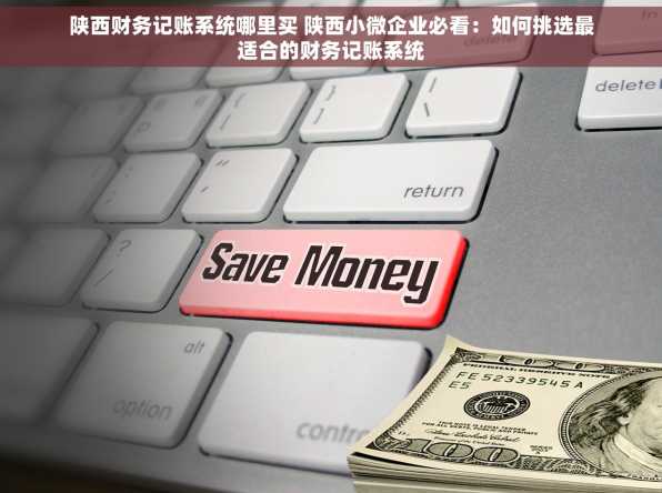 陕西财务记账系统哪里买 陕西小微企业必看：如何挑选最适合的财务记账系统