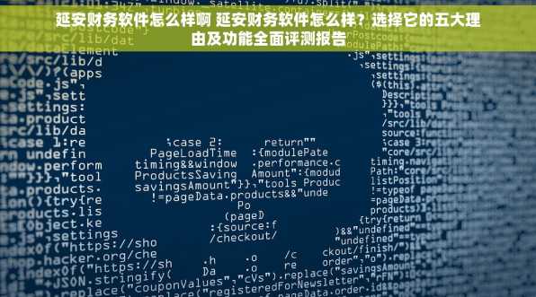 延安财务软件怎么样啊 延安财务软件怎么样？选择它的五大理由及功能全面评测报告