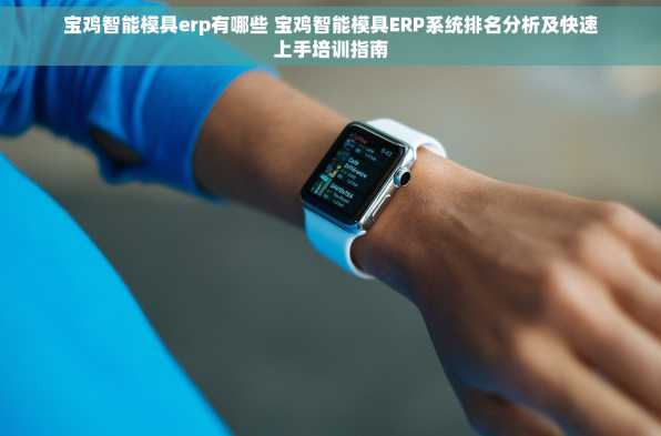 宝鸡智能模具erp有哪些 宝鸡智能模具ERP系统排名分析及快速上手培训指南