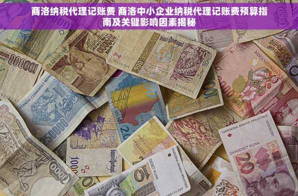 商洛纳税代理记账费 商洛中小企业纳税代理记账费预算指南及关键影响因素揭秘