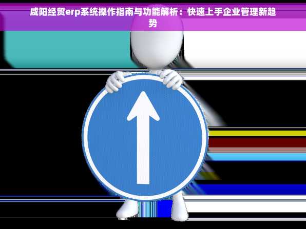 咸阳经贸erp系统操作指南与功能解析：快速上手企业管理新趋势
