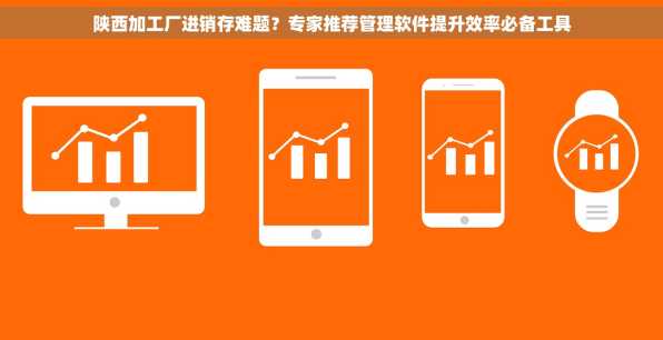 陕西加工厂进销存难题？专家推荐管理软件提升效率必备工具
