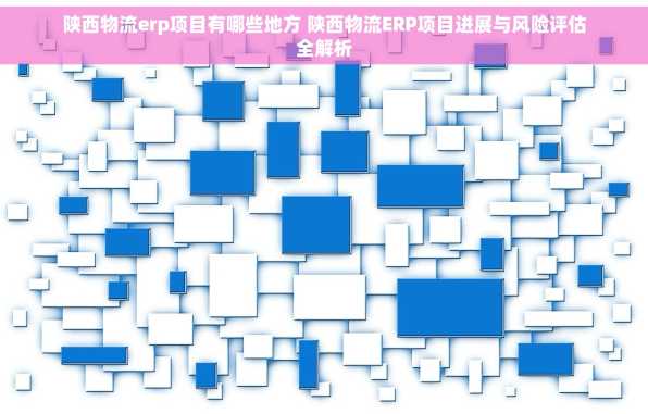 陕西物流erp项目有哪些地方 陕西物流ERP项目进展与风险评估全解析