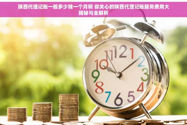 陕西代理记账一般多少钱一个月啊 你关心的陕西代理记账服务费用大揭秘与全解析