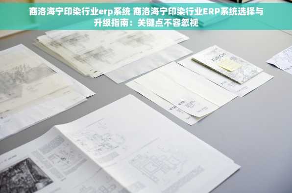 商洛海宁印染行业erp系统 商洛海宁印染行业ERP系统选择与升级指南：关键点不容忽视