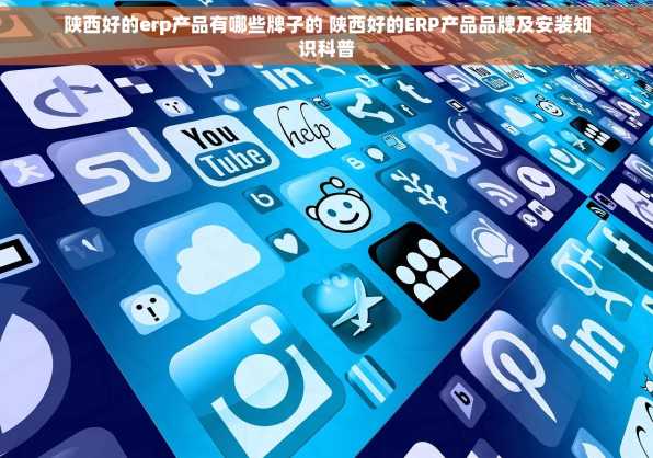 陕西好的erp产品有哪些牌子的 陕西好的ERP产品品牌及安装知识科普
