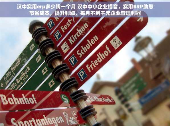 汉中实用erp多少钱一个月 汉中中小企业福音，实用ERP助您节省成本，提升利润，每月不到千元企业管理利器