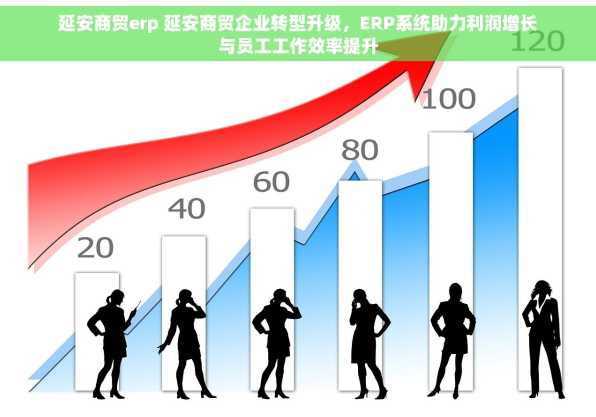 延安商贸erp 延安商贸企业转型升级，ERP系统助力利润增长与员工工作效率提升