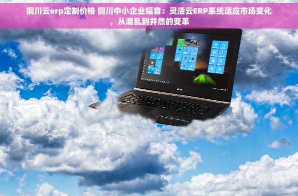 铜川云erp定制价格 铜川中小企业福音：灵活云ERP系统适应市场变化，从混乱到井然的变革