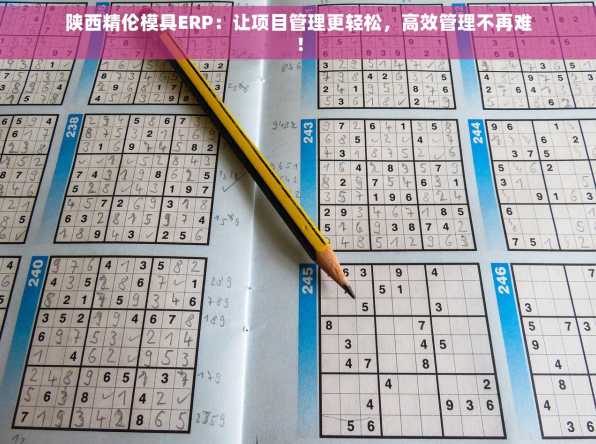 陕西精伦模具ERP：让项目管理更轻松，高效管理不再难！