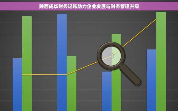 陕西成华财务记账助力企业发展与财务管理升级