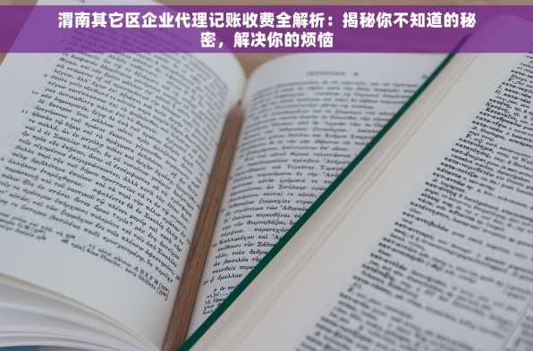 渭南其它区企业代理记账收费全解析：揭秘你不知道的秘密，解决你的烦恼