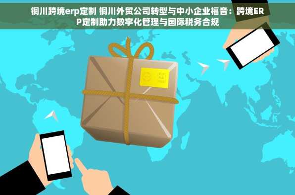 铜川跨境erp定制 铜川外贸公司转型与中小企业福音：跨境ERP定制助力数字化管理与国际税务合规