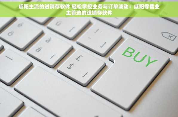 咸阳主流的进销存软件 轻松掌控业务与订单波动：咸阳零售业主首选的进销存软件