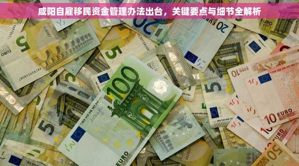 咸阳自雇移民资金管理办法出台，关键要点与细节全解析