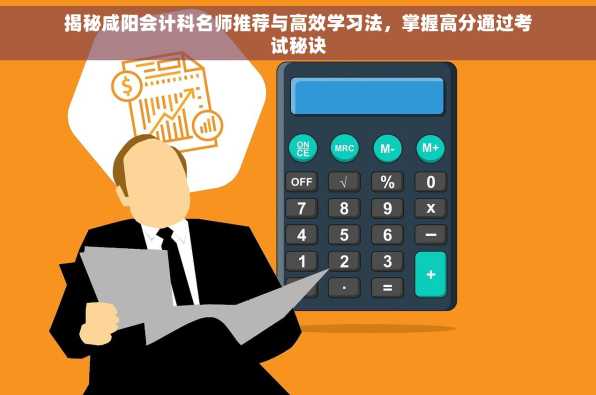 揭秘咸阳会计科名师推荐与高效学习法，掌握高分通过考试秘诀