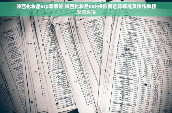 陕西化妆品erp哪家好 陕西化妆品ERP供应商选择标准及操作教程学习方法
