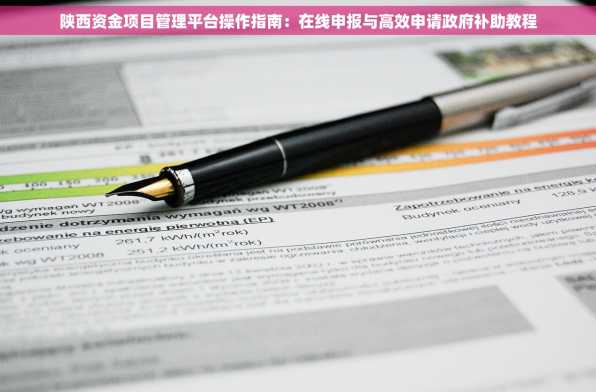陕西资金项目管理平台操作指南：在线申报与高效申请政府补助教程