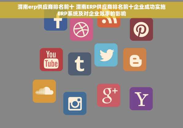 渭南erp供应商排名前十 渭南ERP供应商排名前十企业成功实施ERP系统及对企业效率的影响
